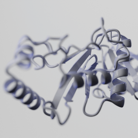 3D visualization of a protein structure with helices, sheets, and loops in a white, minimalistic style on a light background.