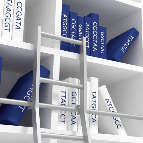 VALIDOGEN'S Pichia pastoris AOX1 promoter library 