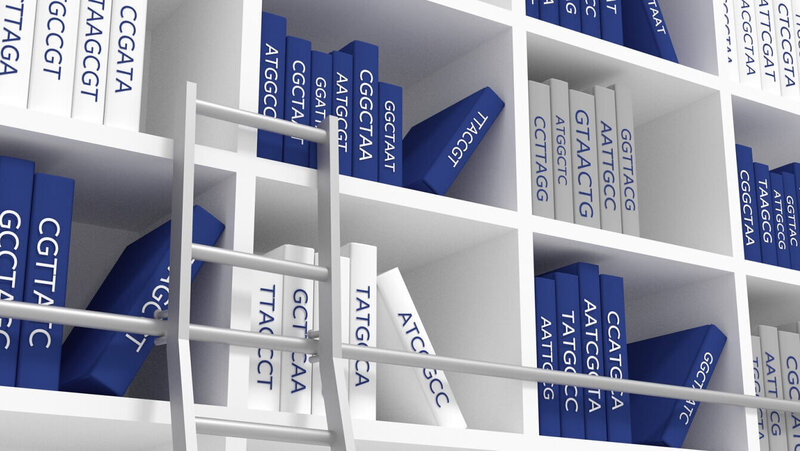 VALIDOGEN'S Pichia pastoris AOX1 promoter library