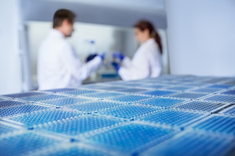 High-throughput screening setup with stacks of microtiter plates in the foreground; two lab technicians in the background performing clone selection and Pichia strain evaluation.