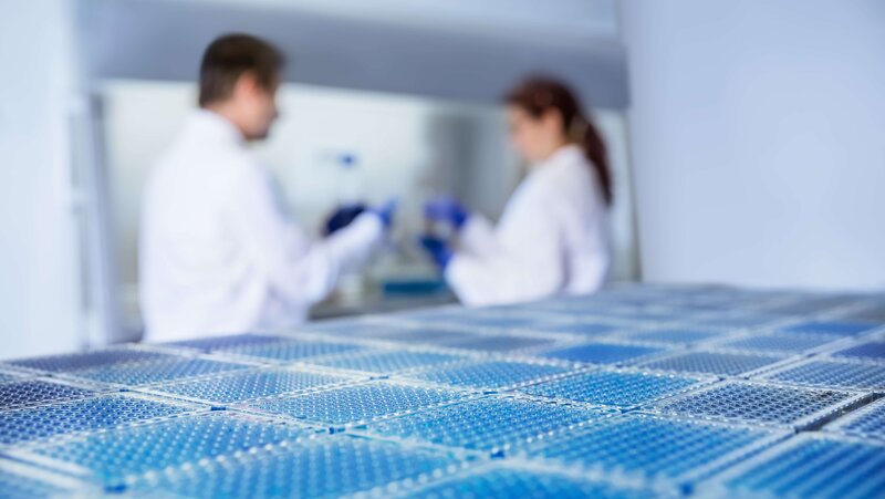 Deep-well plates with scientists in the background working on a laminar flow hood