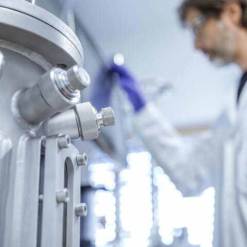 Pichia bioreactor cultivation