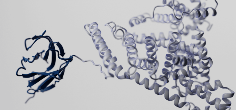 pichia-pastoris-protein-expression-system 3d structure of a fusion protein