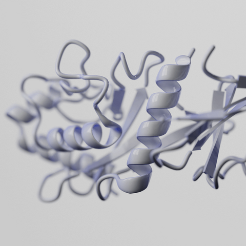 3D visualization of protein structure showing intricate folding patterns, including helices and sheets.