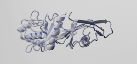 3D visualization of protein structure showing intricate folding patterns, including helices and sheets.