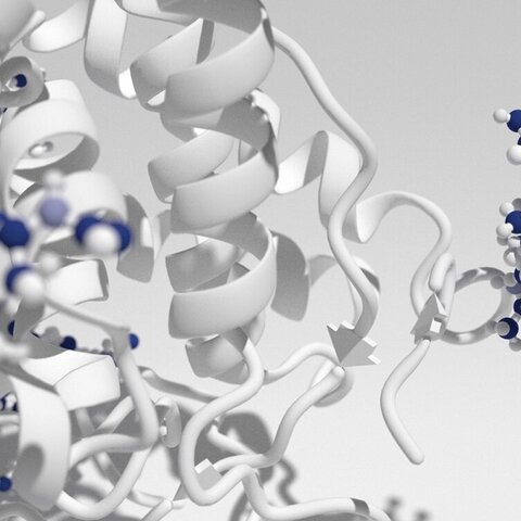 3 D rendering of a recombinant glycoprotein