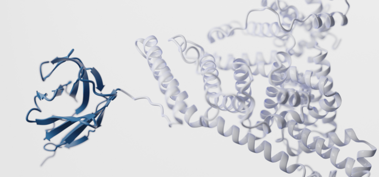 Pichia pastoris fusion protein