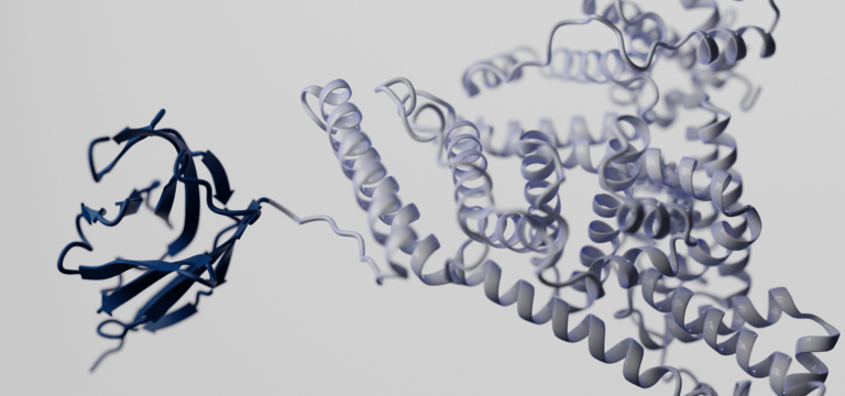 Pichia pastoris fusion protein