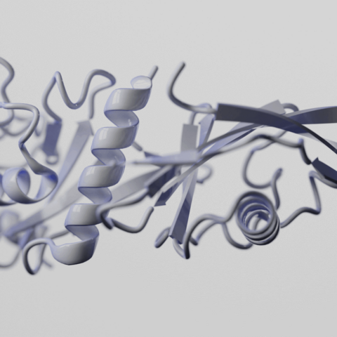 3d structure of a protein