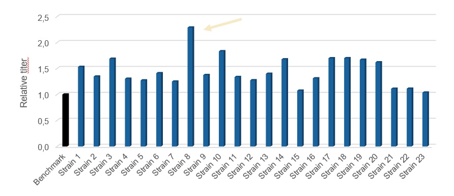 Relative VHH titer of 23 Pichia pastoris strains versus benchmark in deep-well plate screening