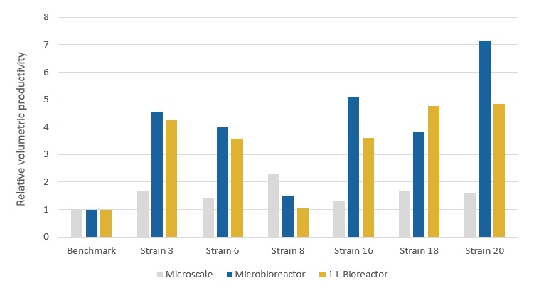 Relative volumetric VHH productivity of Pichia strains in microscale, microbioreactor and 1 L bioreactor
