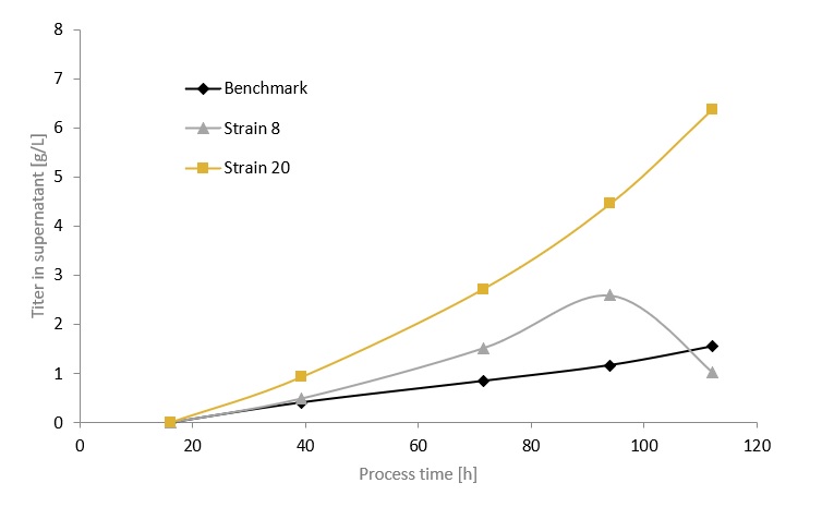 VHH titer in supernatant over process time for Pichia strain 8, strain 20 and benchmark in the bioreactor